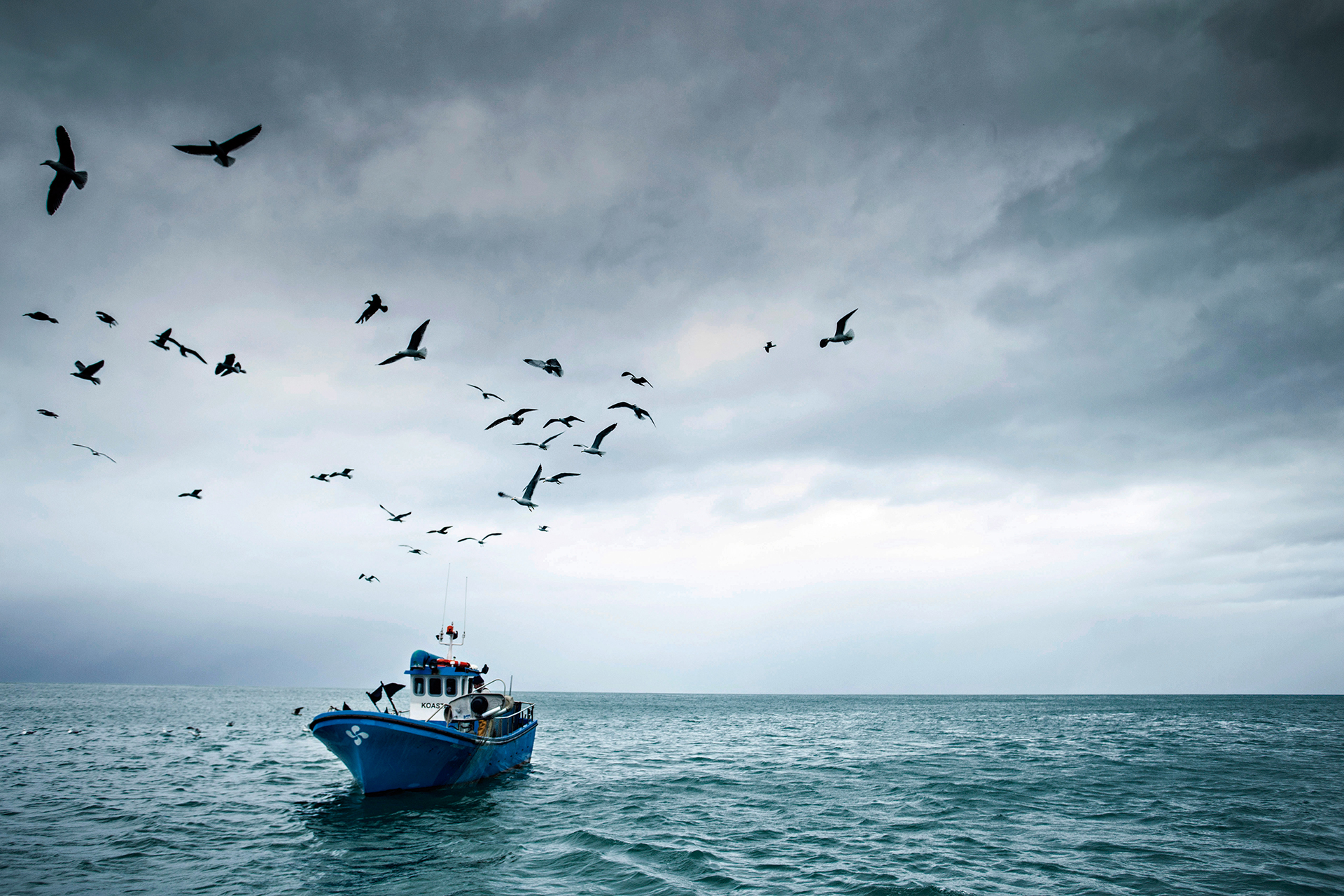 Puerto de Getaria — pescadores