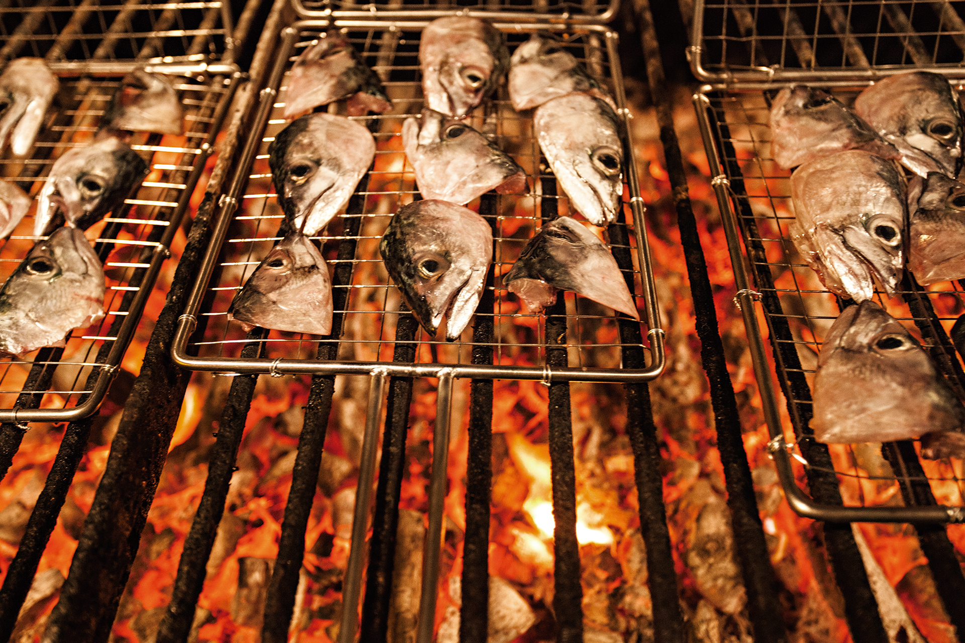 Producto del mar — Elkano