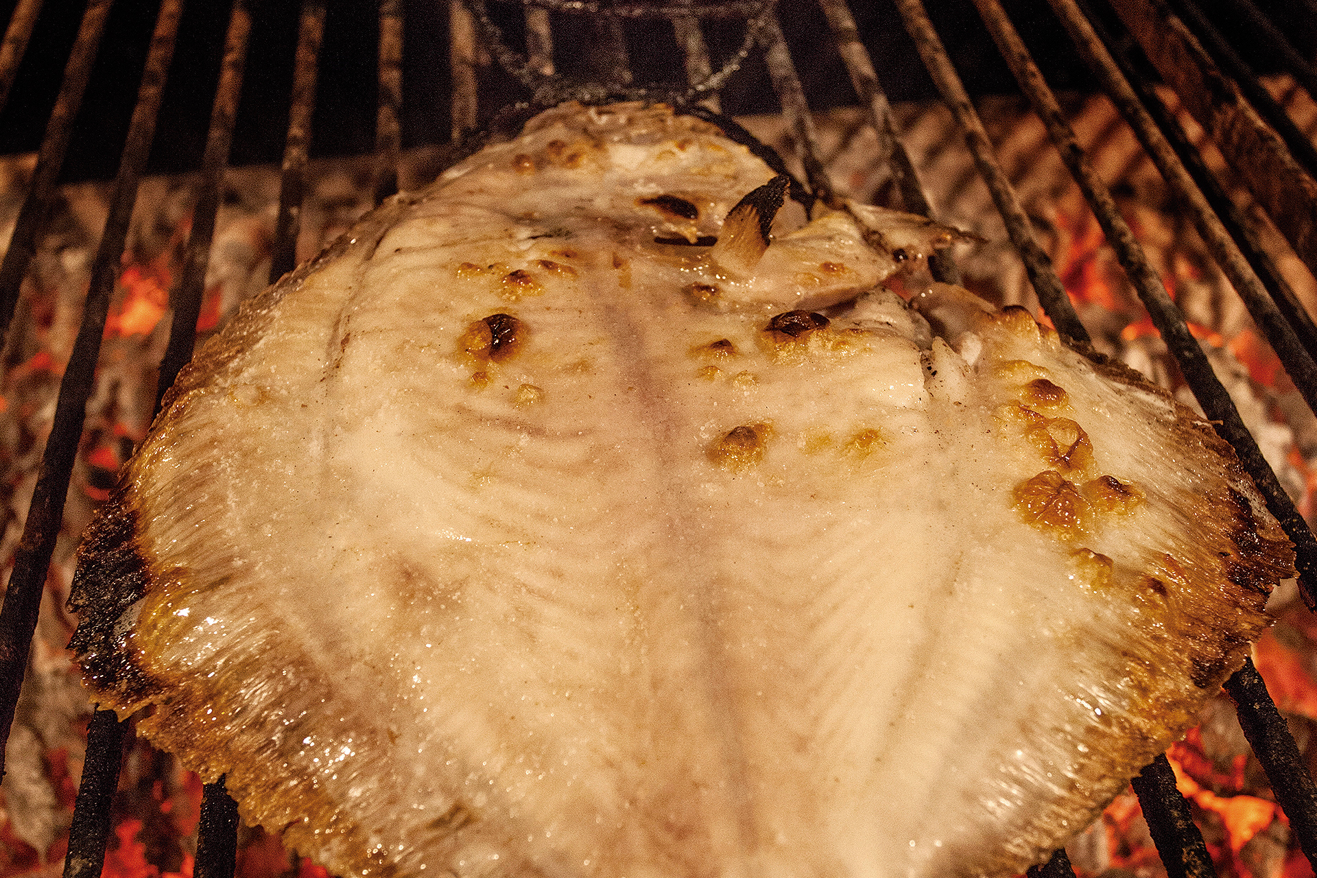 Rodaballo a la parrilla